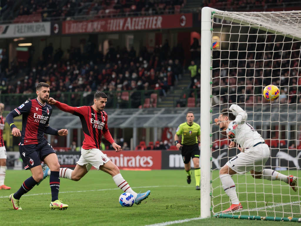 在篮球领域 在篮球领域